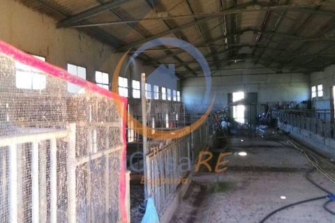 Farm i Collesano, Palermo, Collesano - € 1.000.000 | Ref: 63 - foto 34