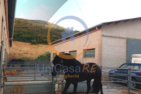 Farm i Collesano, Palermo, Collesano - € 1.000.000 | Ref: 63 - foto 36