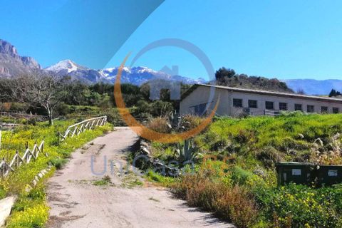 Farm i Collesano, Palermo, Collesano - € 1.000.000 | Ref: 63 - foto 37