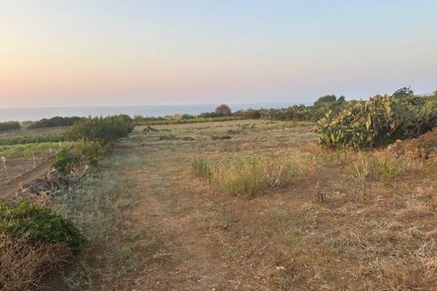 Terra a Ustica, Palermo, Ustica - € 250.000 | Ref: 986 - foto 9