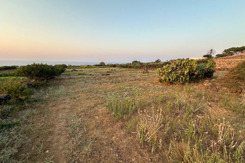 Terra a Ustica, Palermo, Ustica - € 250.000 | Ref: 986 - foto 11