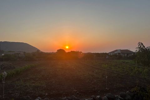 Terra a Ustica, Palermo, Ustica - € 250.000 | Ref: 986 - foto 14