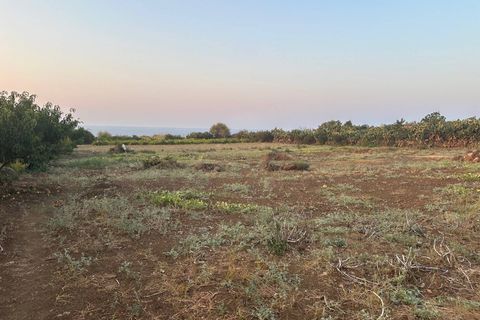 Terra a Ustica, Palermo, Ustica - € 250.000 | Ref: 986 - foto 16