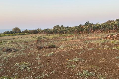 Terra a Ustica, Palermo, Ustica - € 250.000 | Ref: 986 - foto 18