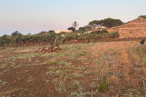 Terra a Ustica, Palermo, Ustica - € 250.000 | Ref: 986 - foto 19