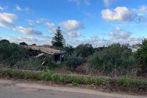 Helårsgrund i Ustica, Palermo, Ustica - € 200.000 | Ref: 1023 - foto 5