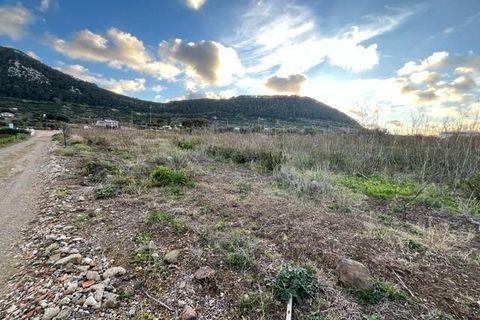Helårsgrund i Ustica, Palermo, Ustica - € 200.000 | Ref: 1023 - foto 8