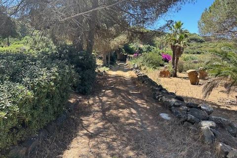 Villa i Ustica, Palermo, Ustica - € 300.000 | Ref: 1046 - foto 12