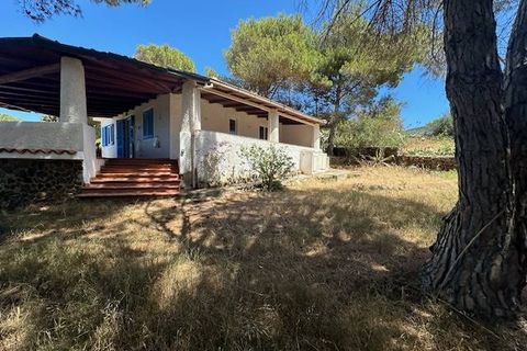 Villa i Ustica, Palermo, Ustica - € 300.000 | Ref: 1046 - foto 17