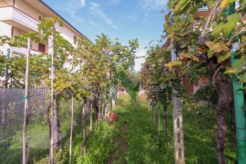 Villa i Alba Adriatica, Teramo, Alba Adriatica - € 230.000 | Ref: T1365 - foto 28