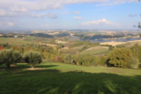 Terra a Bellante, Teramo, Bellante - € 25.000 | Ref: T1368 - foto 3