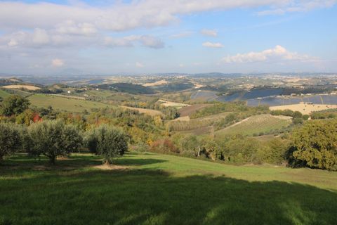 Terra a Bellante, Teramo, Bellante - € 25.000 | Ref: T1368 - foto 4