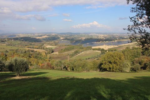 Terra a Bellante, Teramo, Bellante - € 25.000 | Ref: T1368 - foto 5
