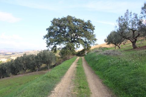 Terra a Bellante, Teramo, Bellante - € 25.000 | Ref: T1368 - foto 7