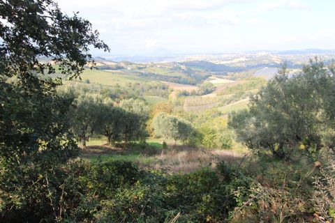 Terra a Bellante, Teramo, Bellante - € 25.000 | Ref: T1368 - foto 8