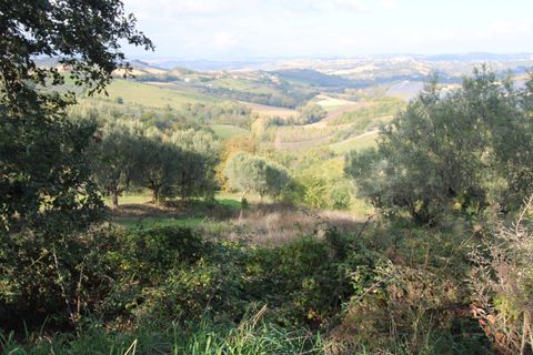 Terra a Bellante, Teramo, Bellante - € 25.000 | Ref: T1368 - foto 9