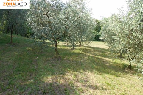 Tomt i Sulzano, Brescia, Sulzano - € 530 000 | Ref: SLZ 213 - foto 4