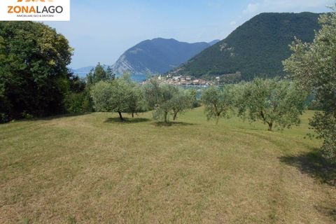 Tomt i Sulzano, Brescia, Sulzano - € 530 000 | Ref: SLZ 213 - foto 5