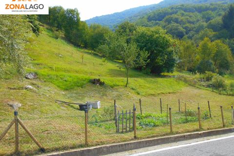 Terra a Sulzano, Brescia, Sulzano - € 37.000 | Ref: SLZ 195 - foto 2