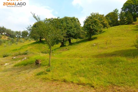 Terra a Sulzano, Brescia, Sulzano - € 37.000 | Ref: SLZ 195 - foto 5