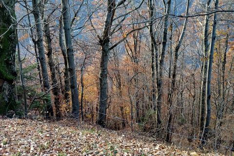 Villa a Pisogne, Brescia, Pisogne - € 75.000 | Ref: psg 237.10 - foto 11