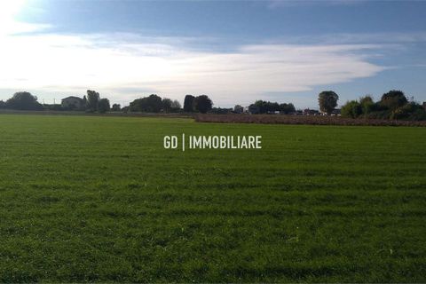 Terra a Montebelluna, Treviso, Montebelluna - € 85.000 | Ref: G104 - foto 4