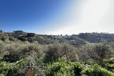 Helårsgrund i Imperia, Imperia, Imperia - € 120.000 | Ref: 6W04 - foto 3
