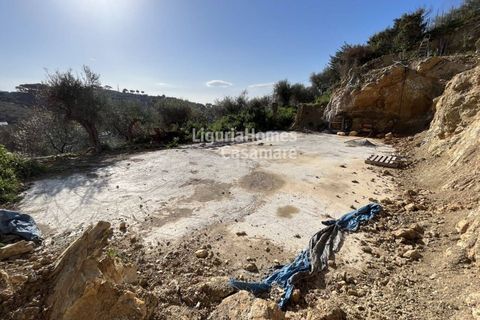 Helårsgrund i Imperia, Imperia, Imperia - € 120.000 | Ref: 6W04 - foto 7