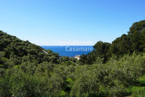 Villa i Cervo, Imperia, Cervo - € 2.000.000 | Ref: 6V73 - foto 5