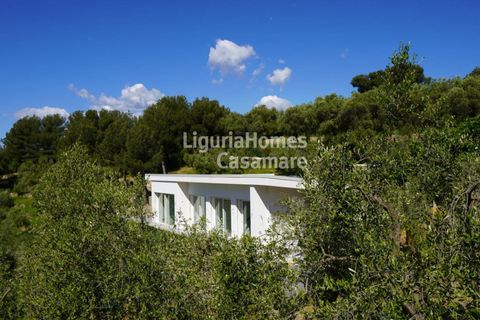 Villa i Cervo, Imperia, Cervo - € 2.000.000 | Ref: 6V73 - foto 6