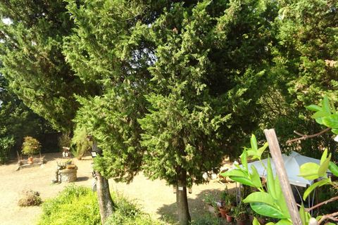 Villa i Montespertoli, Florence, Montespertoli - € 725.000 | Ref: 1286 - foto 41