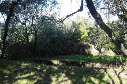Villa i Montespertoli, Florence, Montespertoli - € 389.000 | Ref: 1301 - foto 31
