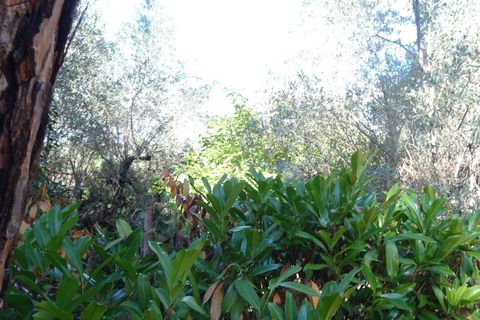 Villa i Montespertoli, Florence, Montespertoli - € 389.000 | Ref: 1301 - foto 32