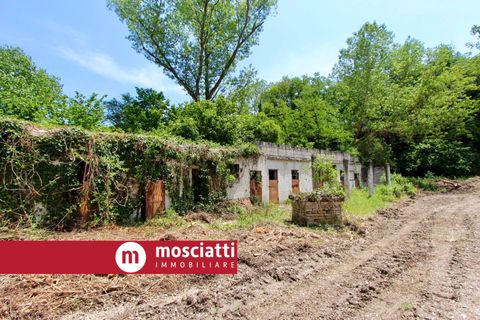 Erhvervsejendom i Matelica, Macerata, Matelica - € 60.000 | Ref: C14/4 - foto 4