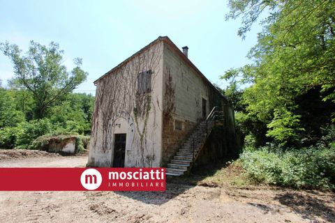 Erhvervsejendom i Matelica, Macerata, Matelica - € 60.000 | Ref: C14/4 - foto 7