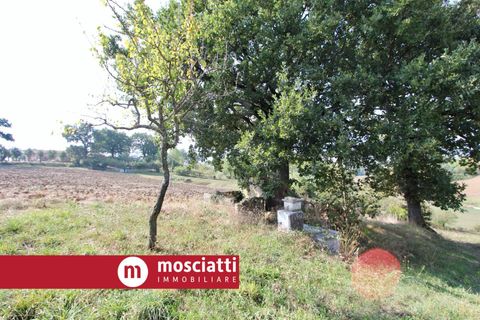 Villa a Matelica, Macerata, Matelica - € 77.000 | Ref: 3027 - foto 4