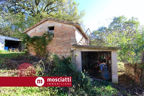 Landejendom i Matelica, Macerata, Matelica - € 165.000 | Ref: 3029 - foto 4