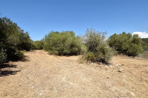 Villa a Sassari, Sassari, Sassari - € 175.000 | Ref: 13093 - foto 12