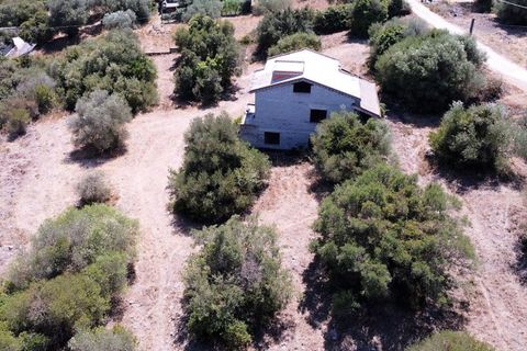 Villa a Sassari, Sassari, Sassari - € 175.000 | Ref: 13093 - foto 41