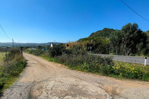 Tomt i Alghero, Sassari, Alghero - € 139 000 | Ref: 13326 - foto 3