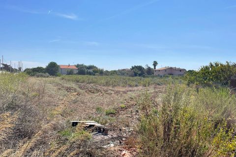 Terra a Sassari, Sassari, Sassari - € 96.000 | Ref: 13352 - foto 2