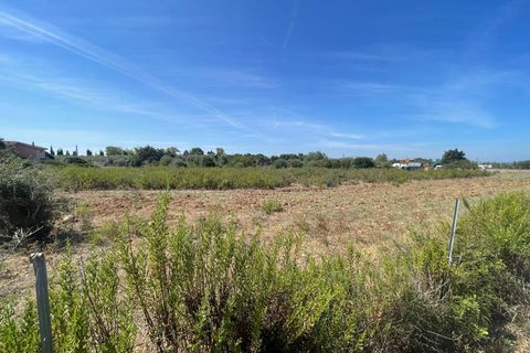Terra a Sassari, Sassari, Sassari - € 96.000 | Ref: 13352 - foto 3