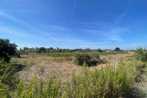 Terra a Sassari, Sassari, Sassari - € 96.000 | Ref: 13352 - foto 4
