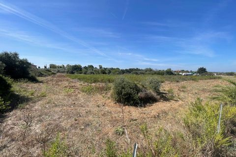 Terra a Sassari, Sassari, Sassari - € 96.000 | Ref: 13352 - foto 5