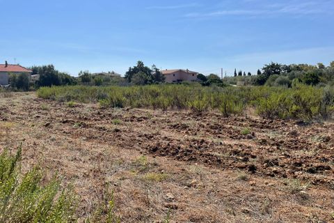 Terra a Sassari, Sassari, Sassari - € 96.000 | Ref: 13352 - foto 6