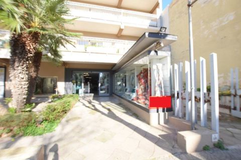 Erhvervsejendom i Alghero, Sassari, Alghero - € 480.000 | Ref: 13494 - foto 3