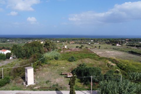 Terra a Sassari, Sassari, Sassari - € 49.000 | Ref: 13602 - foto 3