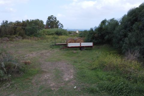 Terra a Sassari, Sassari, Sassari - € 49.000 | Ref: 13602 - foto 7