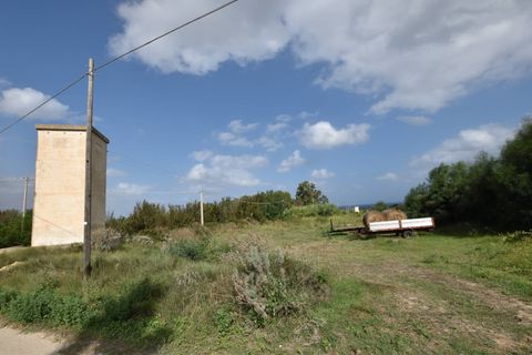 Terra a Sassari, Sassari, Sassari - € 49.000 | Ref: 13602 - foto 12