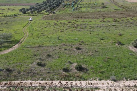Terra a Selargius, Cagliari, Selargius - € 34.000 | Ref: 13646 - foto 2